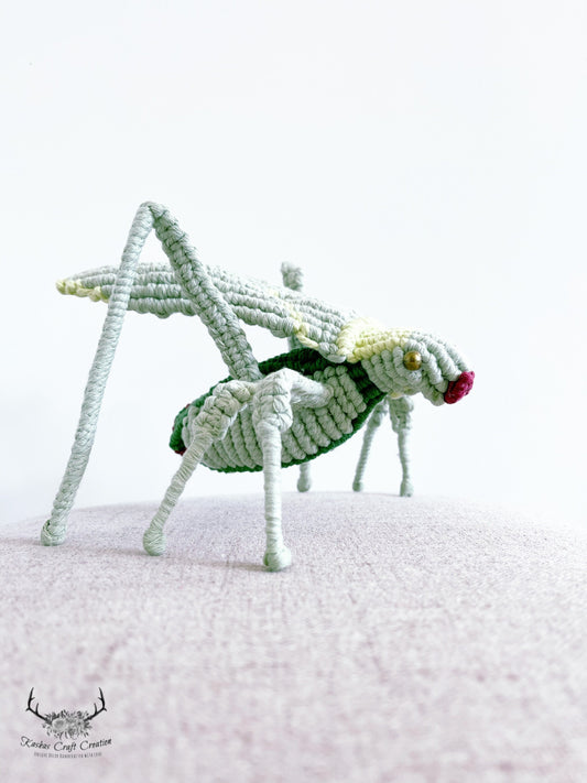 Macrame Cricket/Macrame Bug/Macrame Animal