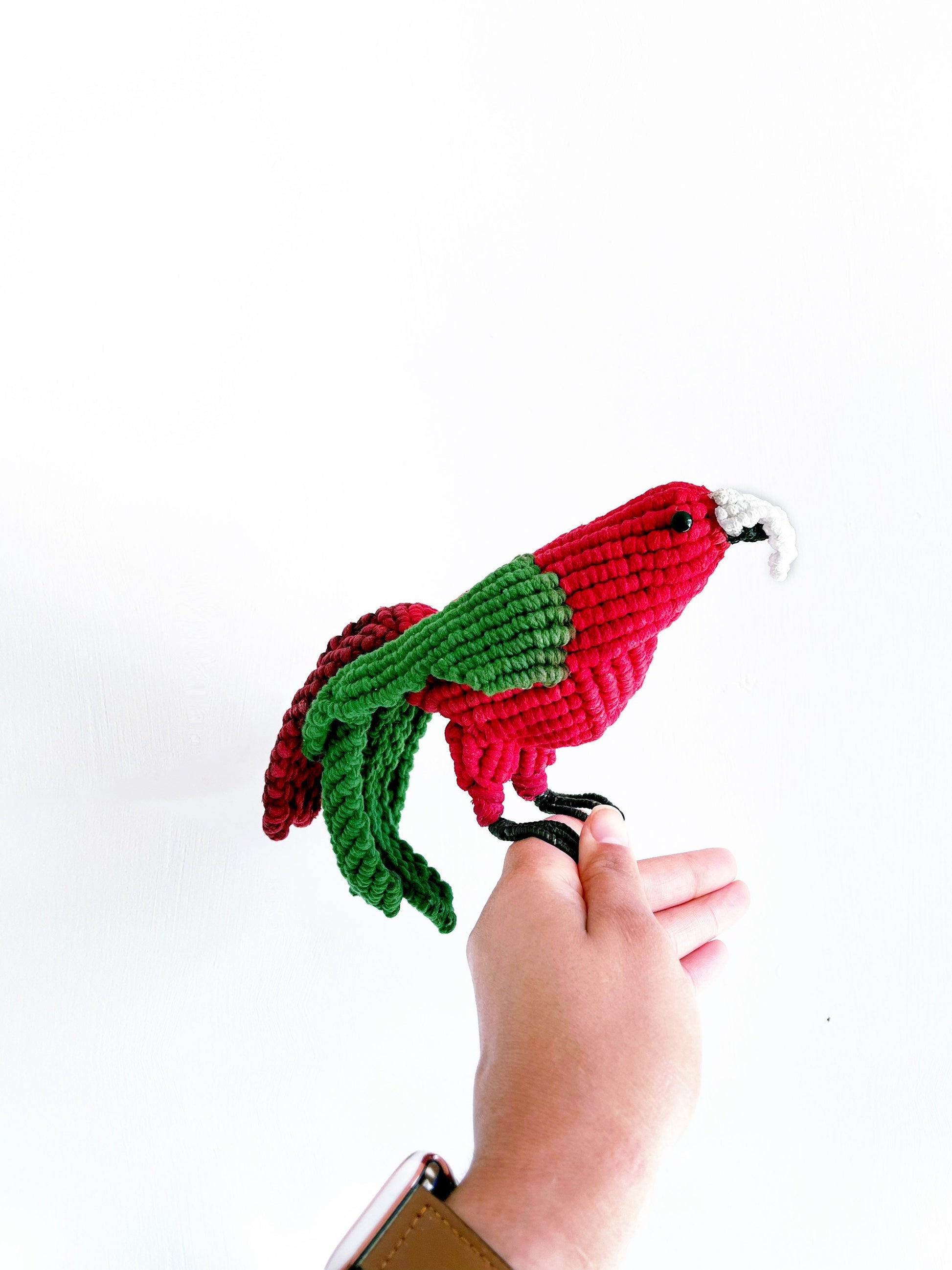 Scarlet Macaw  Art/ Parrot Decor/ Red Parrot Art