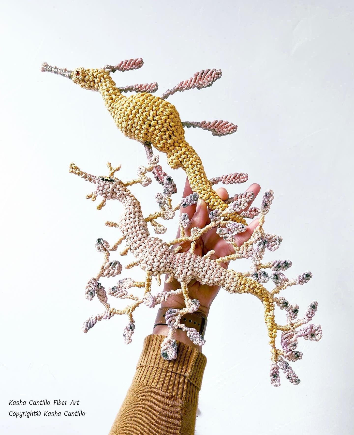 COMMISSION ONLY/ leafy sea dragon/ common seahorse //Macrame art/ macrame sea dragon